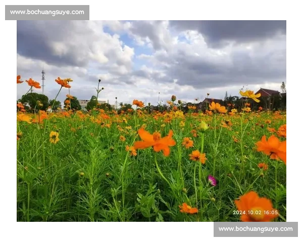 影像记忆:野马赛道 19.5 公里,定格花海前的骑行瞬间 影像记忆:野马赛道 19.5 公里,定格花海前的骑行瞬间